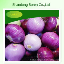 Supply Nature Fresh Red /Yellow Onion in Any Size